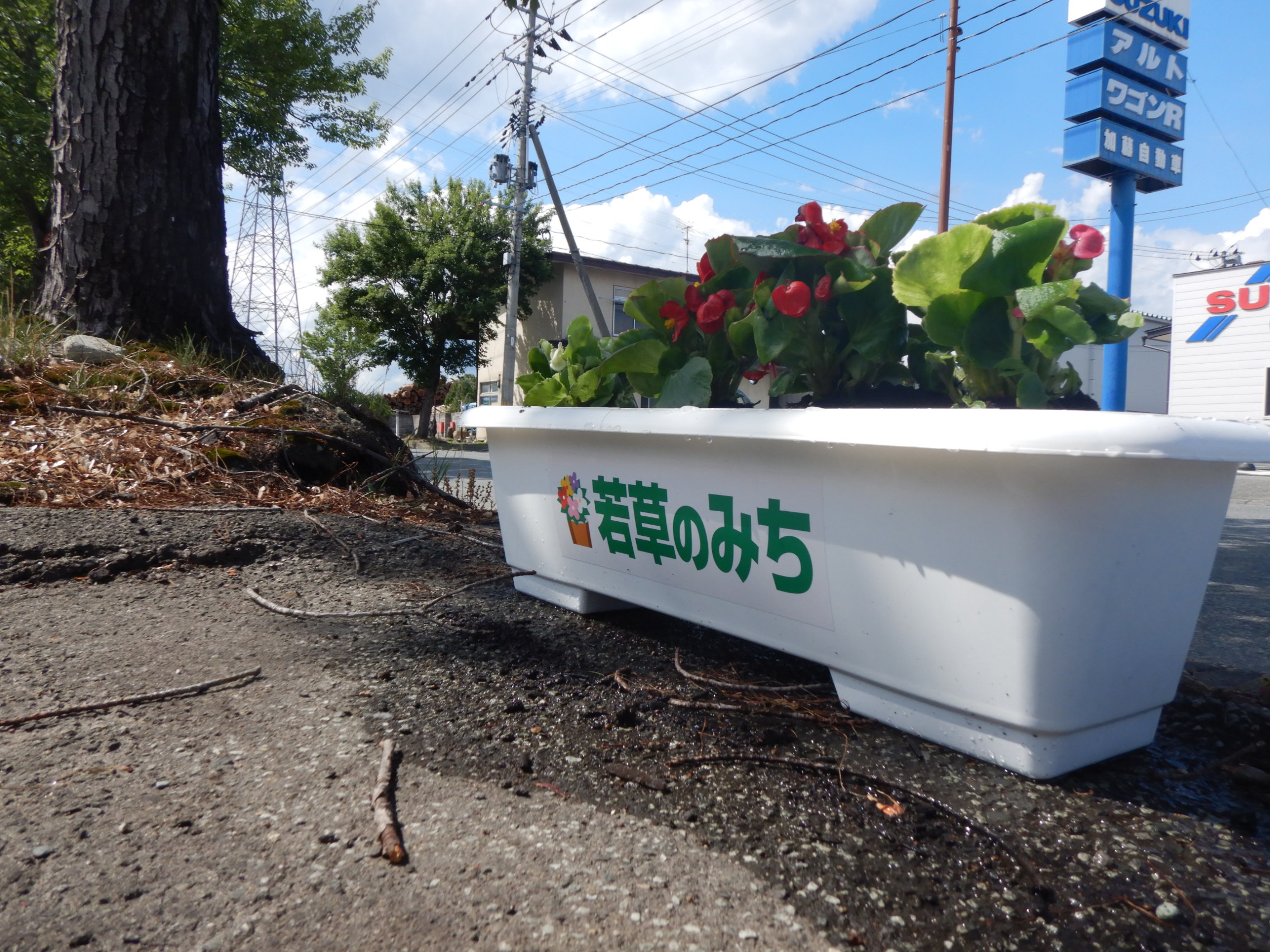 DSCN5211